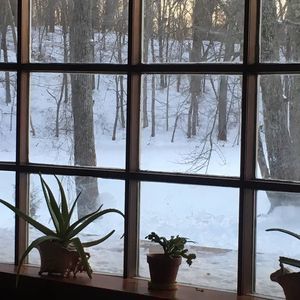 Meet your Posher, Melody